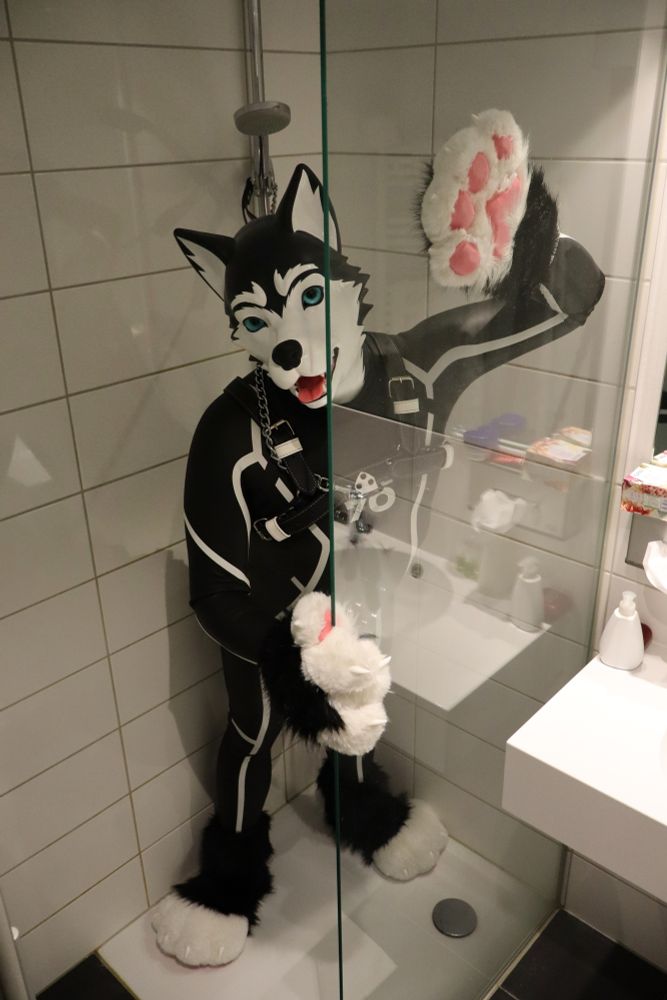 A person wearing a black and white husky mask from Furrjoi, a black BLUE70 wetsuit with white accents, and a harness stands in a tiled shower behind a glass door. They have large fluffy white and black paw gloves and matching paw-shaped footwear. One paw is pressed against the glass, and the person looks toward the camera with a playful open-mouth expression. A bathroom sink and toiletries are visible to the right.