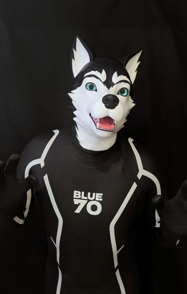 A person wearing a black BLUE70 wetsuit with white stripes and a Furrjoi husky mask with blue-green eyes and an open, smiling mouth, posing against a black background.