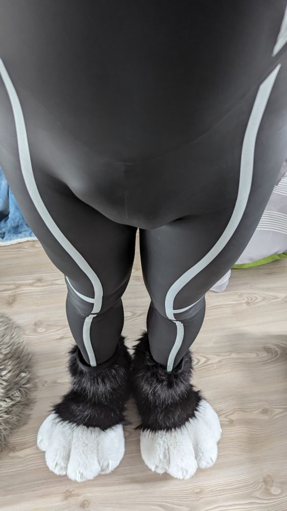 The image shows a person wearing a black wetsuit with white stripes running vertically along the front of the legs. They are also wearing large, indoor fursuit paws, which are fluffy and designed to resemble animal paws, featuring white fur at the front and black fur around the ankles. The scene is indoors, with a wooden floor and part of a gray fuzzy rug visible on the left. The combination of the sleek wetsuit and the playful fursuit paws gives the outfit a unique look.