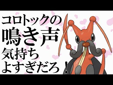 コロトックの鳴き声気持ち良すぎだろ！