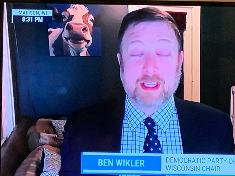 Screenshot of a man in suit and tv being interviewed and in the background is a painting of a friendly looking cow.