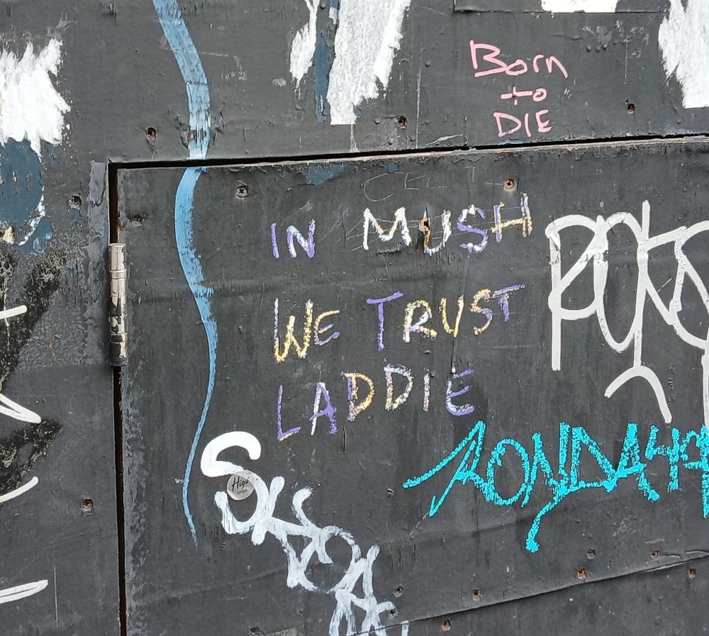 Colour photo, close up of external door covered in graffiti, with the following inscription centred: IN MUSH WE TRUST LADDIE in purple, gold and silver letters. 'Mush" replacing 'Musk', I assume, but 'Laddie' earns a chef's kiss. Glassford Street, Glasgow.
