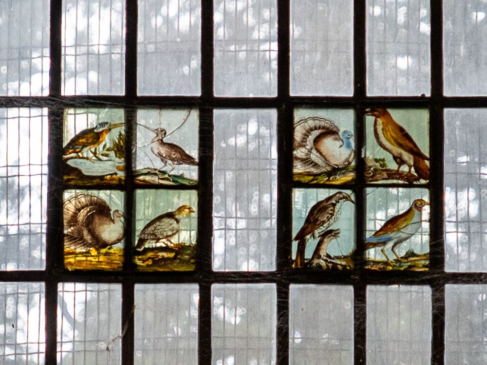A section of stained glass at Llandaff Cathedral showing six small painted panels, each depicting a different bird in naturalistic detail. The birds include a kingfisher, partridge, pigeon, and other species, set against a pale background with surrounding small rectangular plain glass panes. The style is delicate and illustrative, capturing the birds in lifelike poses.