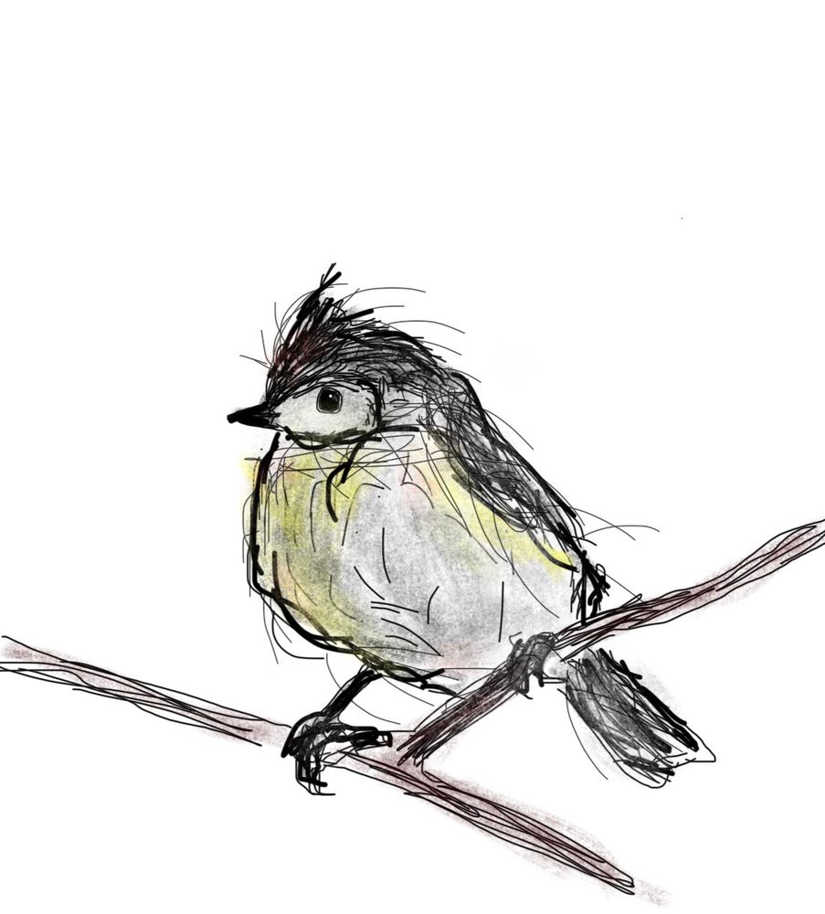 Fuzzy oak titmouse-like bird