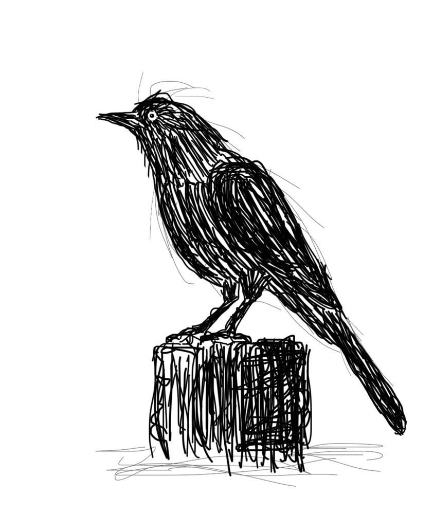 Black scribbled crow standing on a black scribbled stump