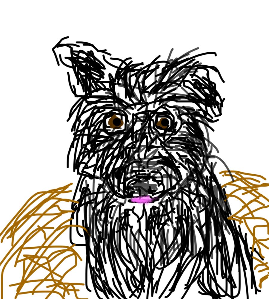 Comment image