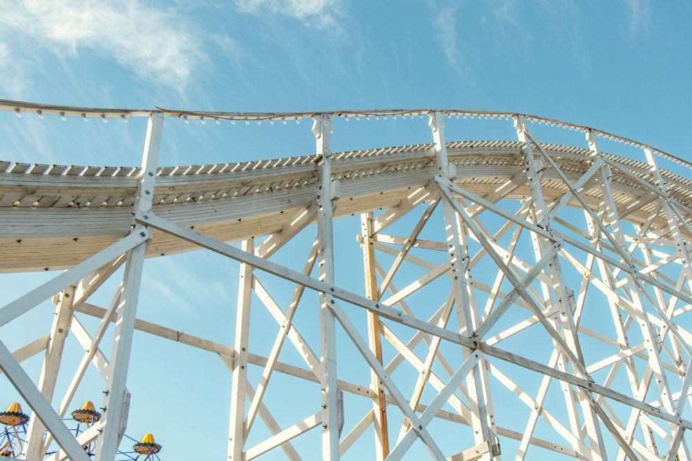 Riding the Roller Coaster -Emotion and Contemplation Workshop; — What A Shrink Thinks