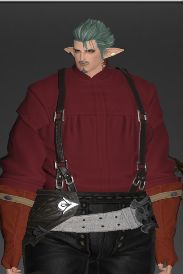 The same eleven but a static standing pose in different armor