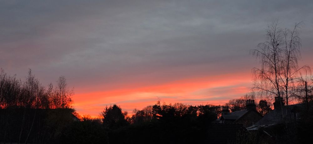 A landscape orientated photo of a sunset - the clouds near the horizon are shades of pink and peach, while trees in the foreground are in silhouette, all leafless except for a few evergreens. There are roofs with chimneys in silhouette in the bottom right of the photo.