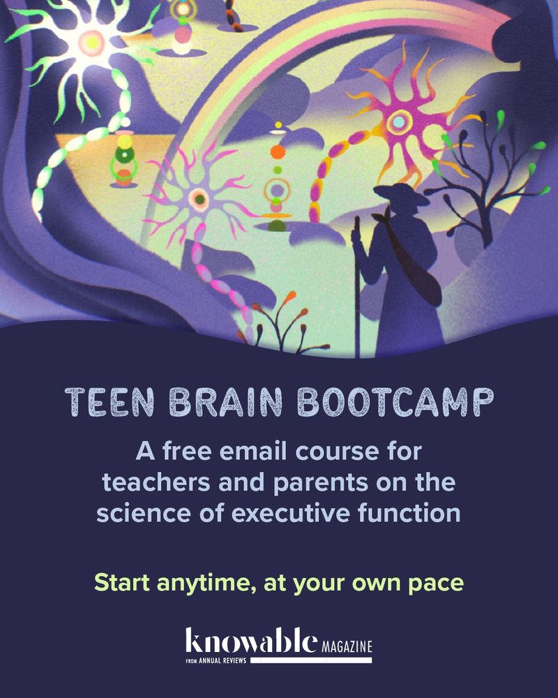 TEEN BRAIN BOOTCAMP: A free email course course for for teachers and parents on the science of executive function Start anytime, at your own pace 
