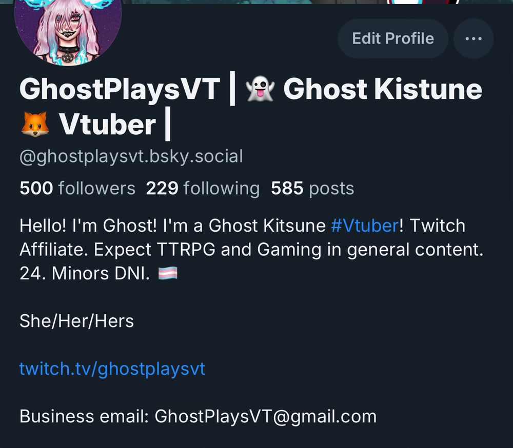 A screenshot of @GhostPlaysVT.Bsky.Social that shows that she has 500 followers