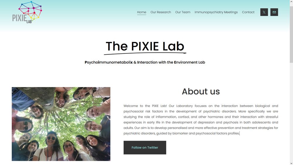 Screenshot of the PIXIE Lab website's homepage. This features the full name of the lab - Psychoimmunometabolix & Interaction with the Environment Lab - along with a short "about us" section and a team photo.