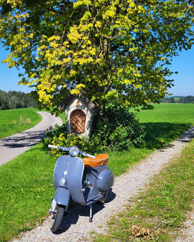 Eine alte Vespa auf einem Feld vor einem Baum.