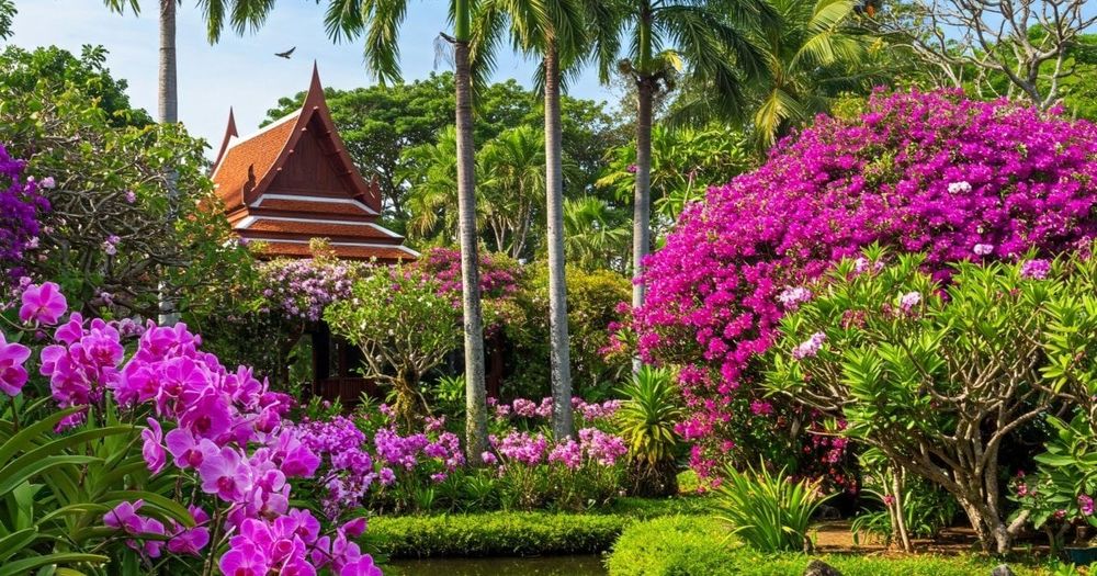 botanical-garden-flowers-phuket-thailand