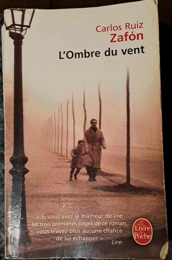 "Un livre est un miroir où nous trouvons seulement ce que nous portons déjà en nous."

C. R. Zafón, "L'Ombre du Vent", 2001
637 pages en format livre de poche.