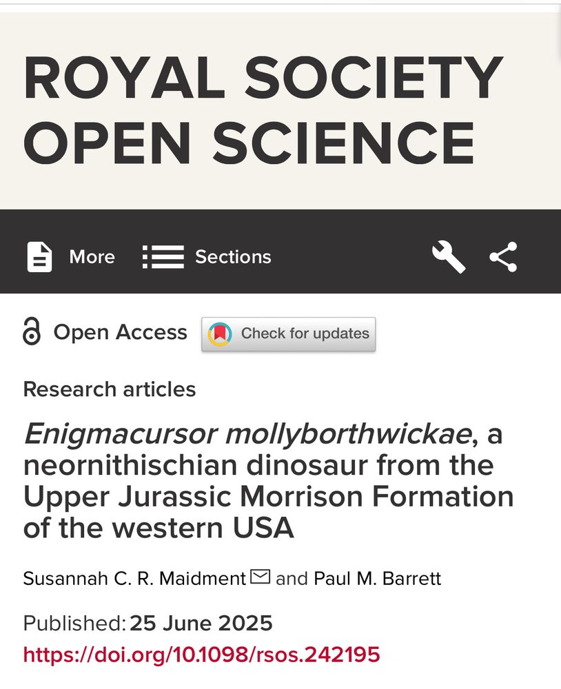 Front page of the paper. It reads: ROYAL SOCIETY OPEN SCIENCE
@ Open Access
Enigmacursor mollyborthwickae, a neornithischian dinosaur from the Upper Jurassic Morrison Formation of the western USA
Susannah C. R. Maidment M and Paul M. Barrett
Published: 25 June 2025
https://doi.org/10.1098/rsos.242195