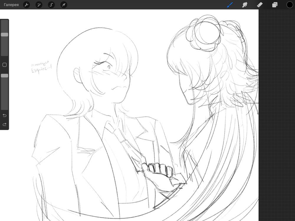 Don Quixote and Jia Xichun 