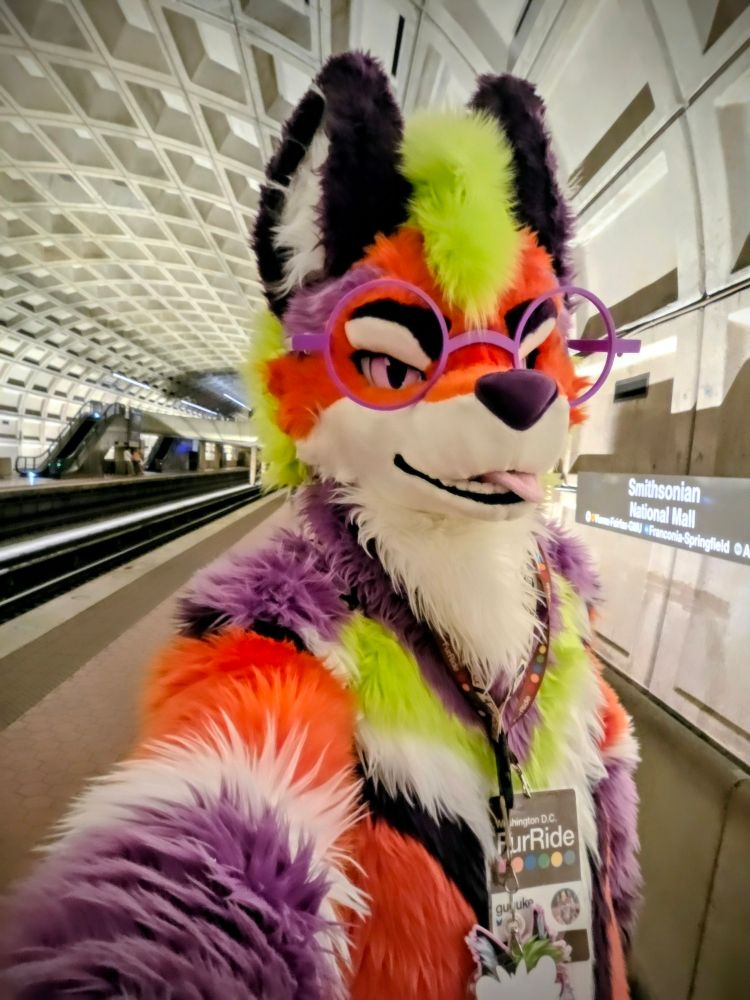 a fluffy colorful maned wolf fursuiter in the DC metro Smithsonian station by the platform