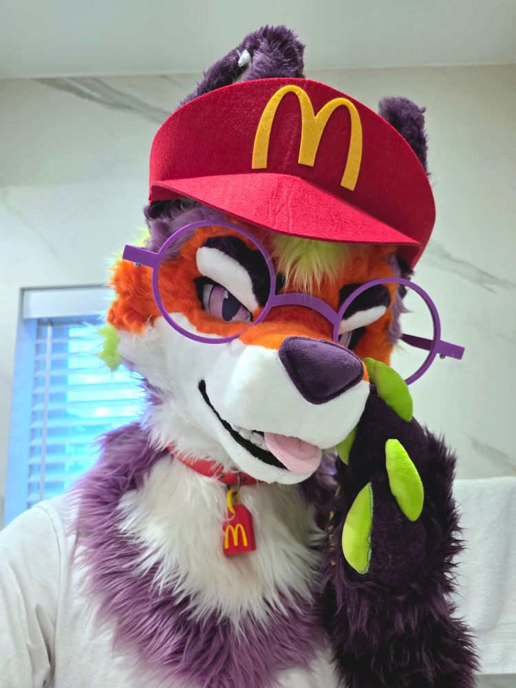 selfie of a glass-wearing fursuiter wearing a red McDonald's visor and a red collar. a red tag hangs from the collar and has the McDonald's logo on it.