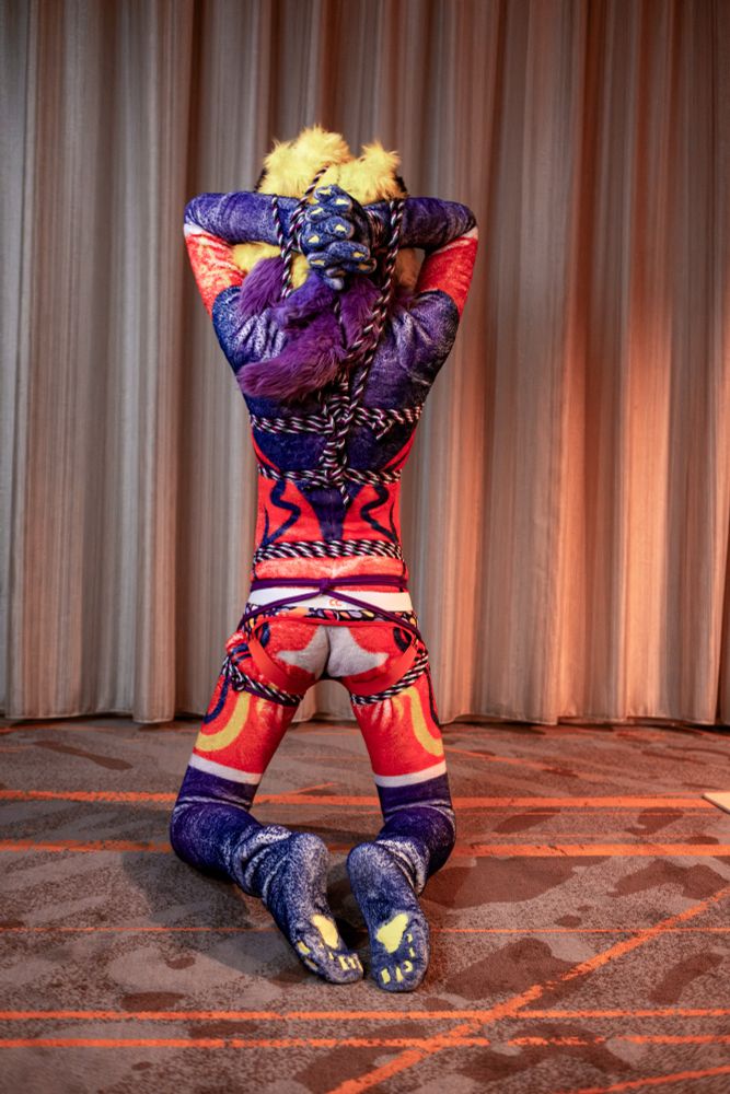 full-body photo showing the back of a vibrant maned wolf fursuiter kneeling on the floor. they are tied up with colorful ropes on the head, chest, and hip, with wrists tied up behind the head. their butt and feet paws are facing the viewer