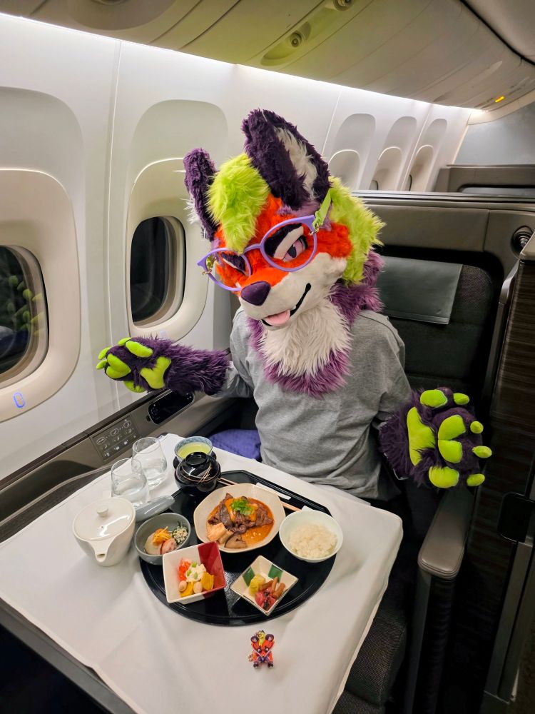 a maned wolf fursuiter by some Japanese food plates served on a tray in an airplane