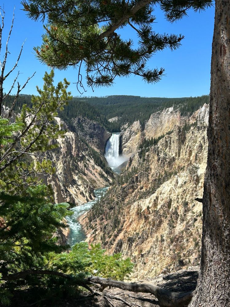 Artists Point at Grand Caynon of Yellowstone.  Distant waterfall carving stone landscape with the river flowing to the foreground.