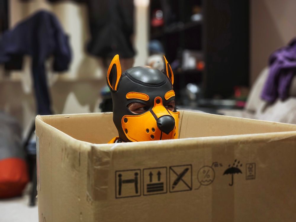 A person (it/its) sat in a large cardboard box in an orange pup hood.