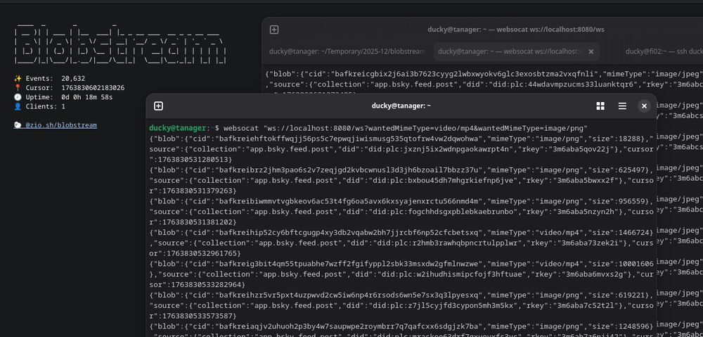 An early screenshot of Blobstream, showing the landing page with various stats, and two Terminals open showing it in use — the output on both show various events concerning only blob uploads to ATProto.