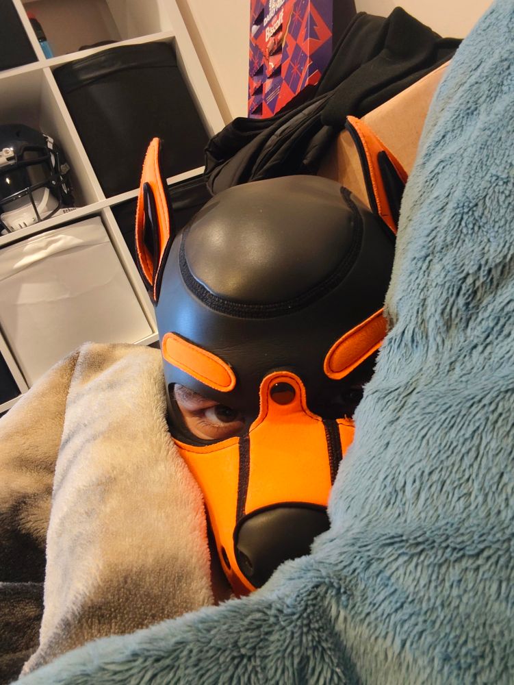 A person (it/its) snuggled in bed, with a Blåhaj plushie, wearing an orange pup hood.