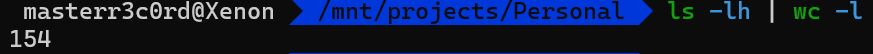 Screenshot of a terminal. Rough transcription:

masterr3c0rd@Xenon:/mnt/projects/Personal $ ls -lh | wc -l
154